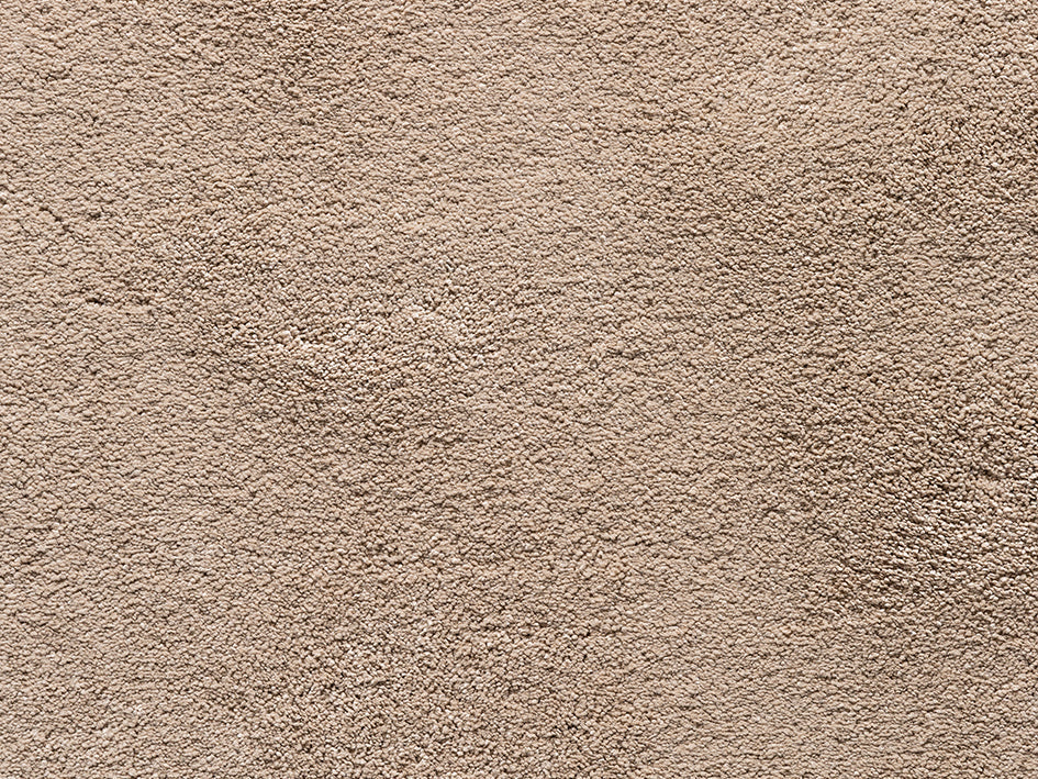 Amaryllis Premium Carpet