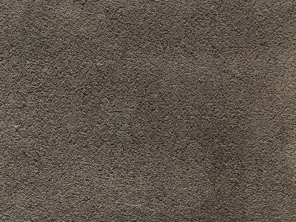 Amaryllis Premium Carpet
