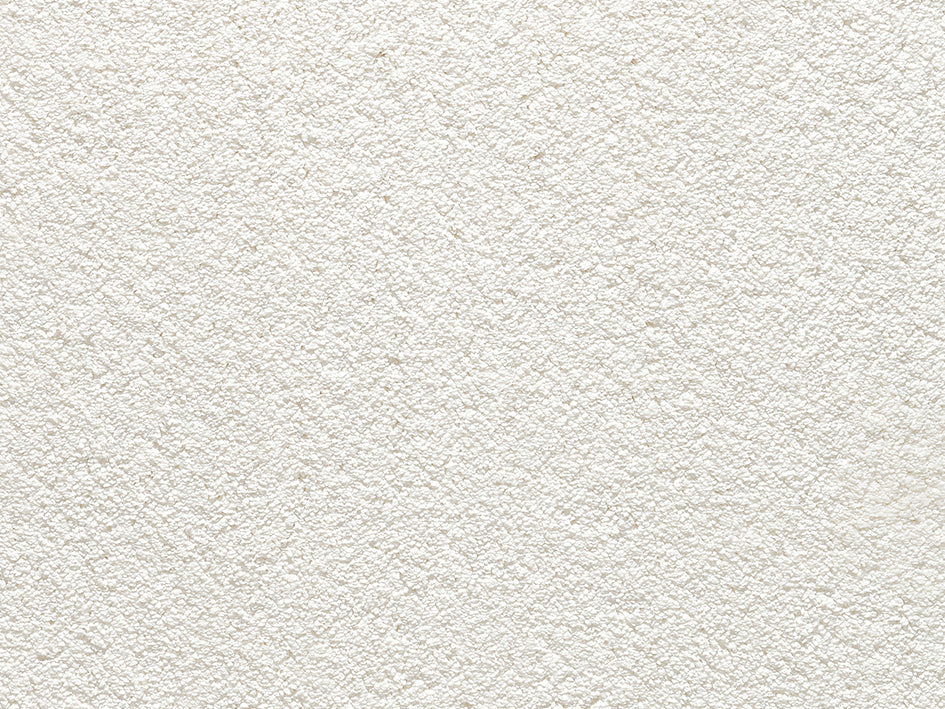 Premium Anemone Carpet