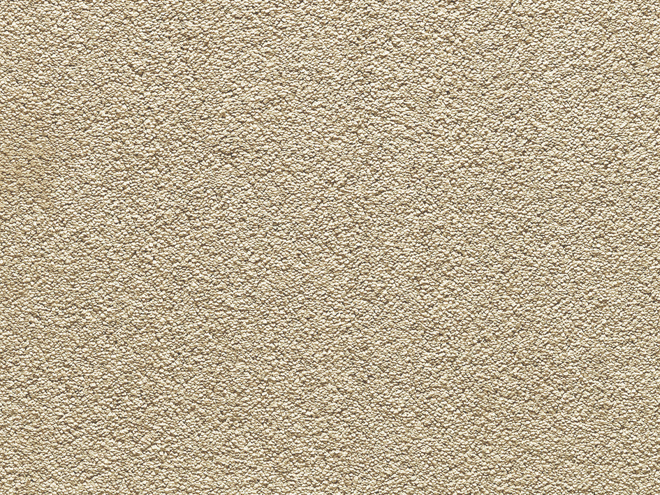 Premium Anemone Carpet