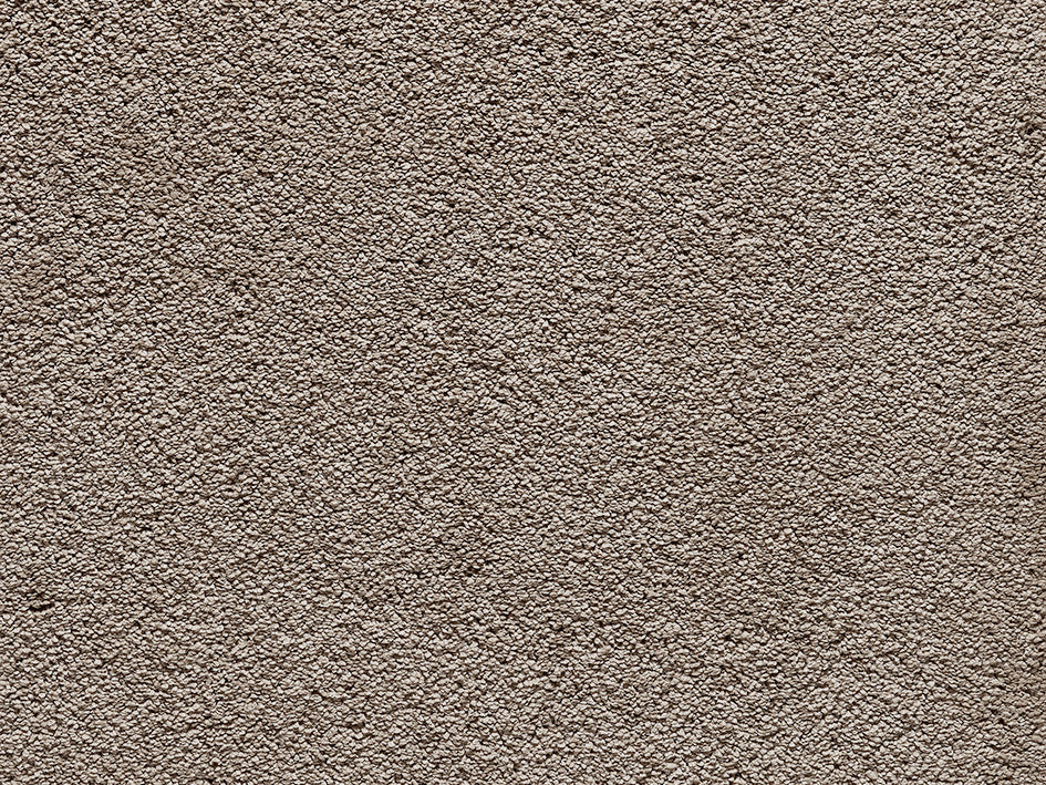 Premium Anemone Carpet