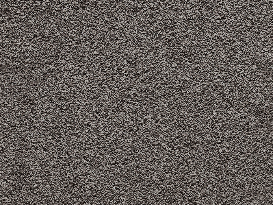 Premium Anemone Carpet