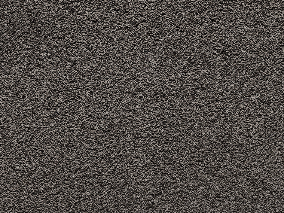 Premium Anemone Carpet