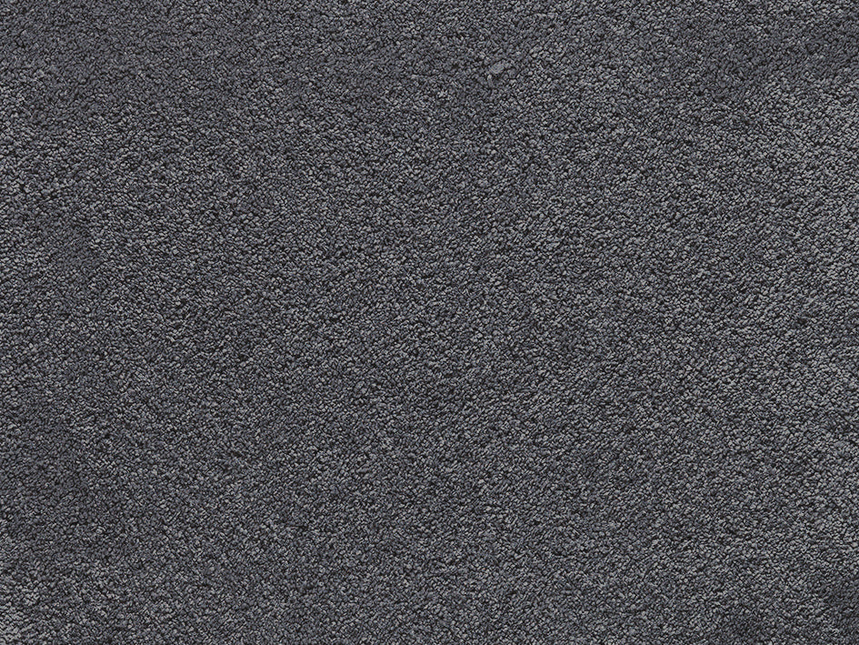 Premium Anemone Carpet