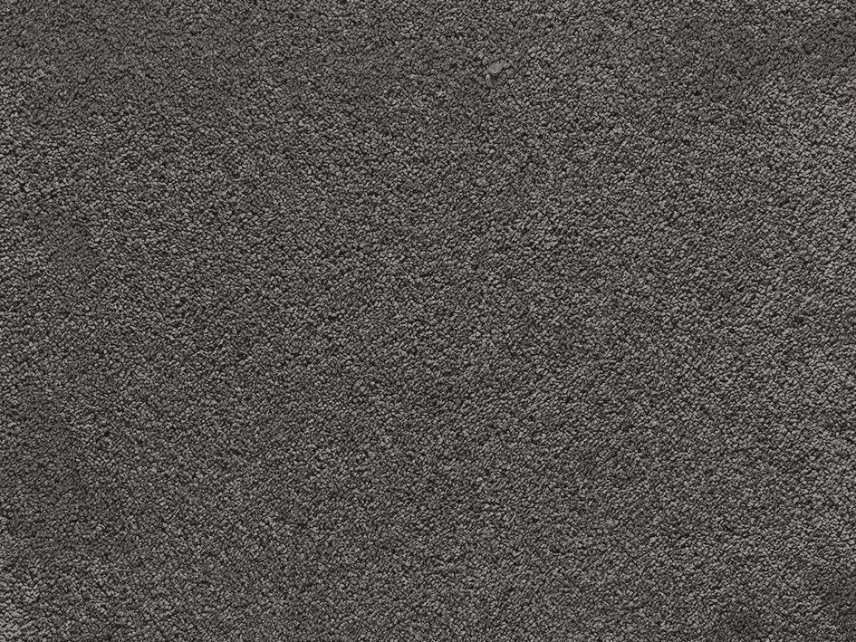 Premium Anemone Carpet