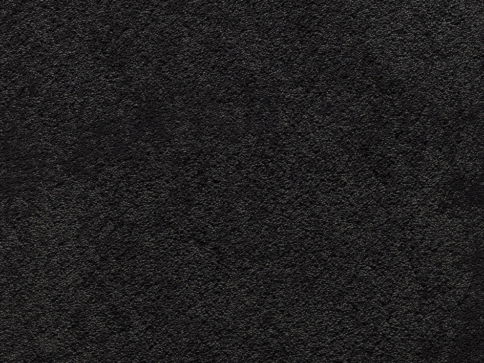 Premium Anemone Carpet