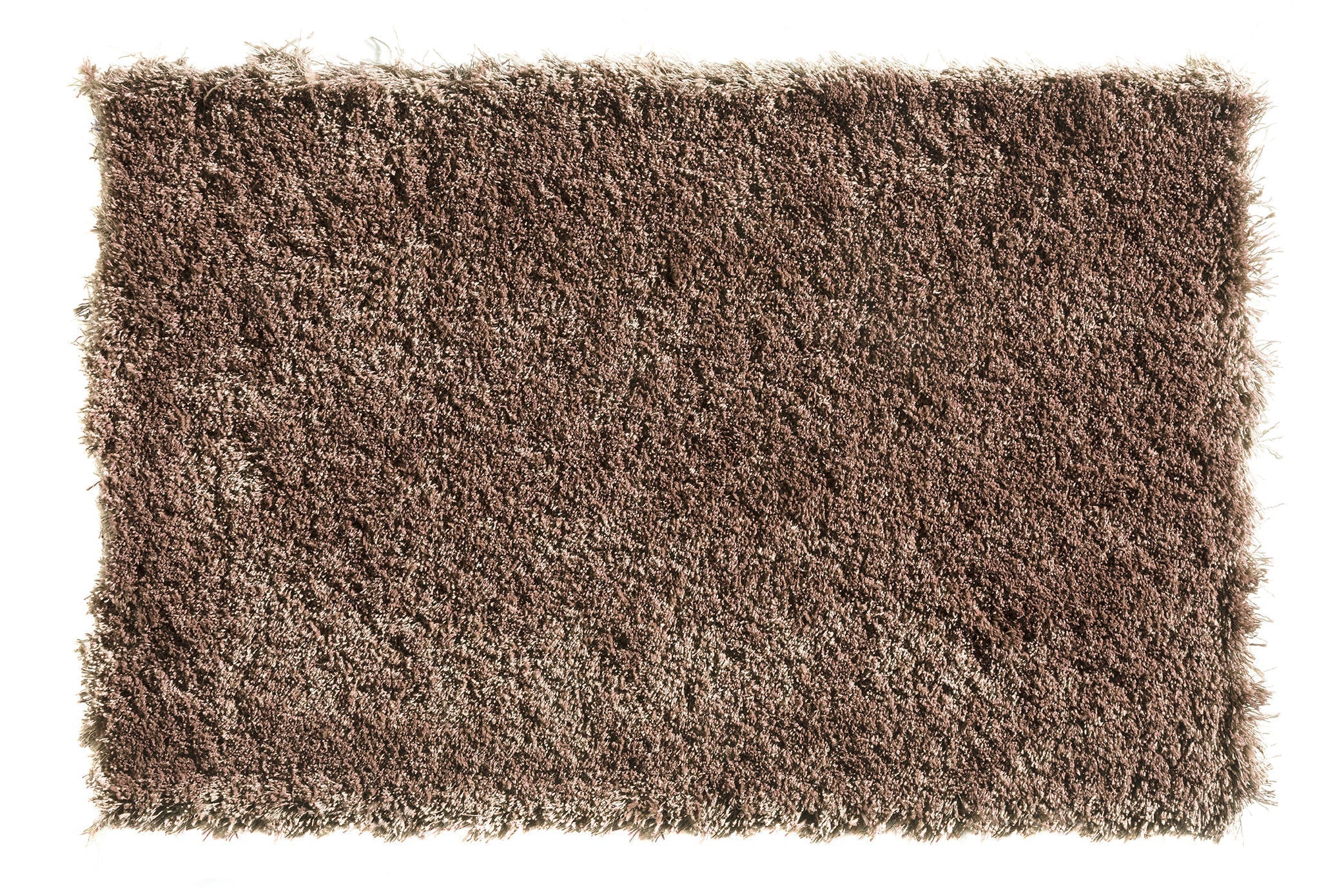 Premium Bold Indulgence Carpet