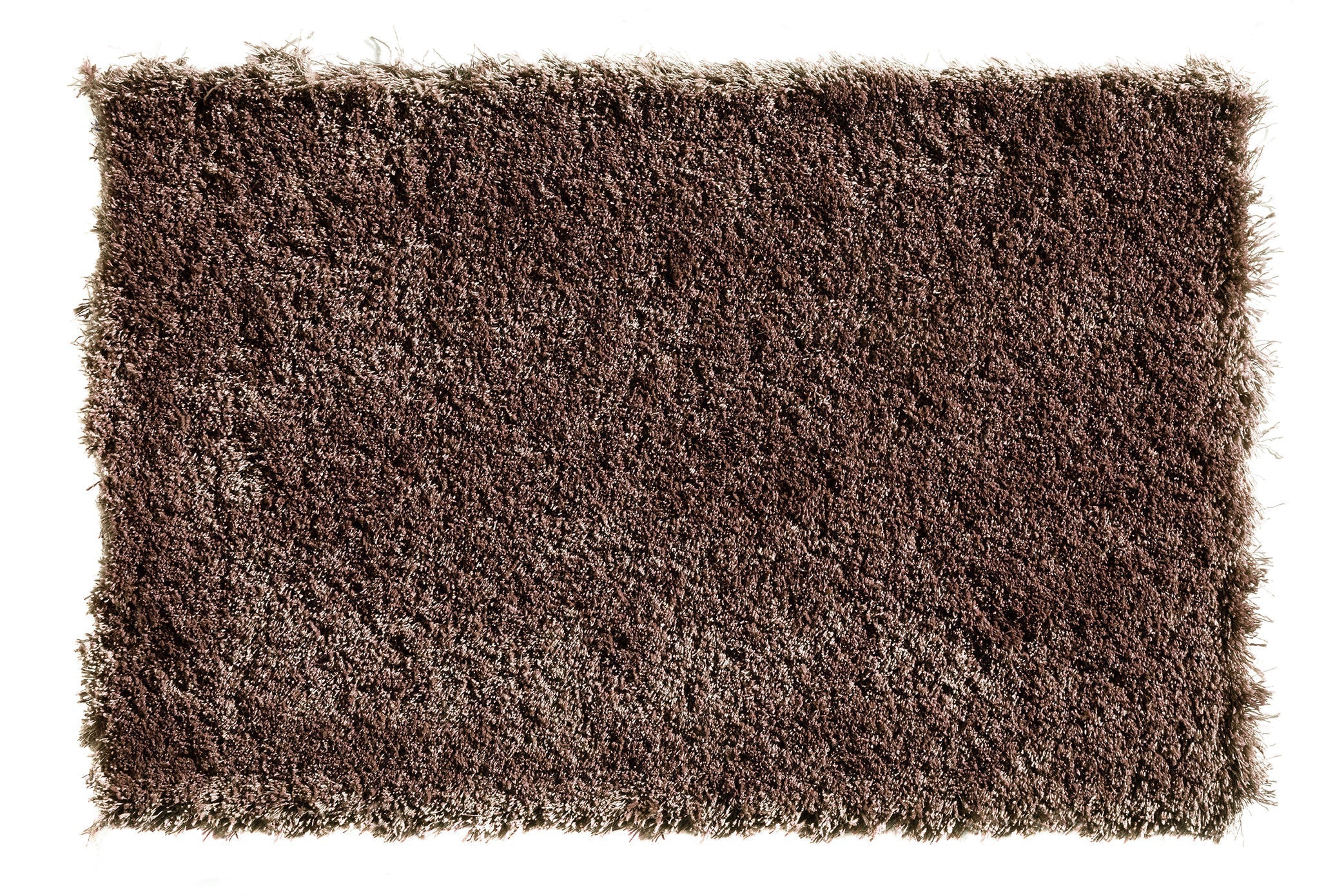 Premium Bold Indulgence Carpet