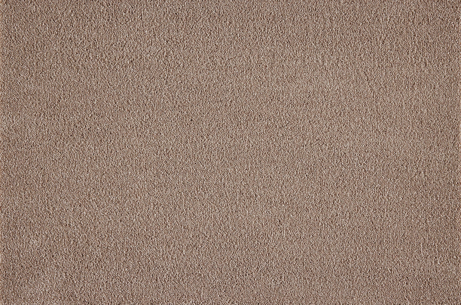 Boulevard carpet