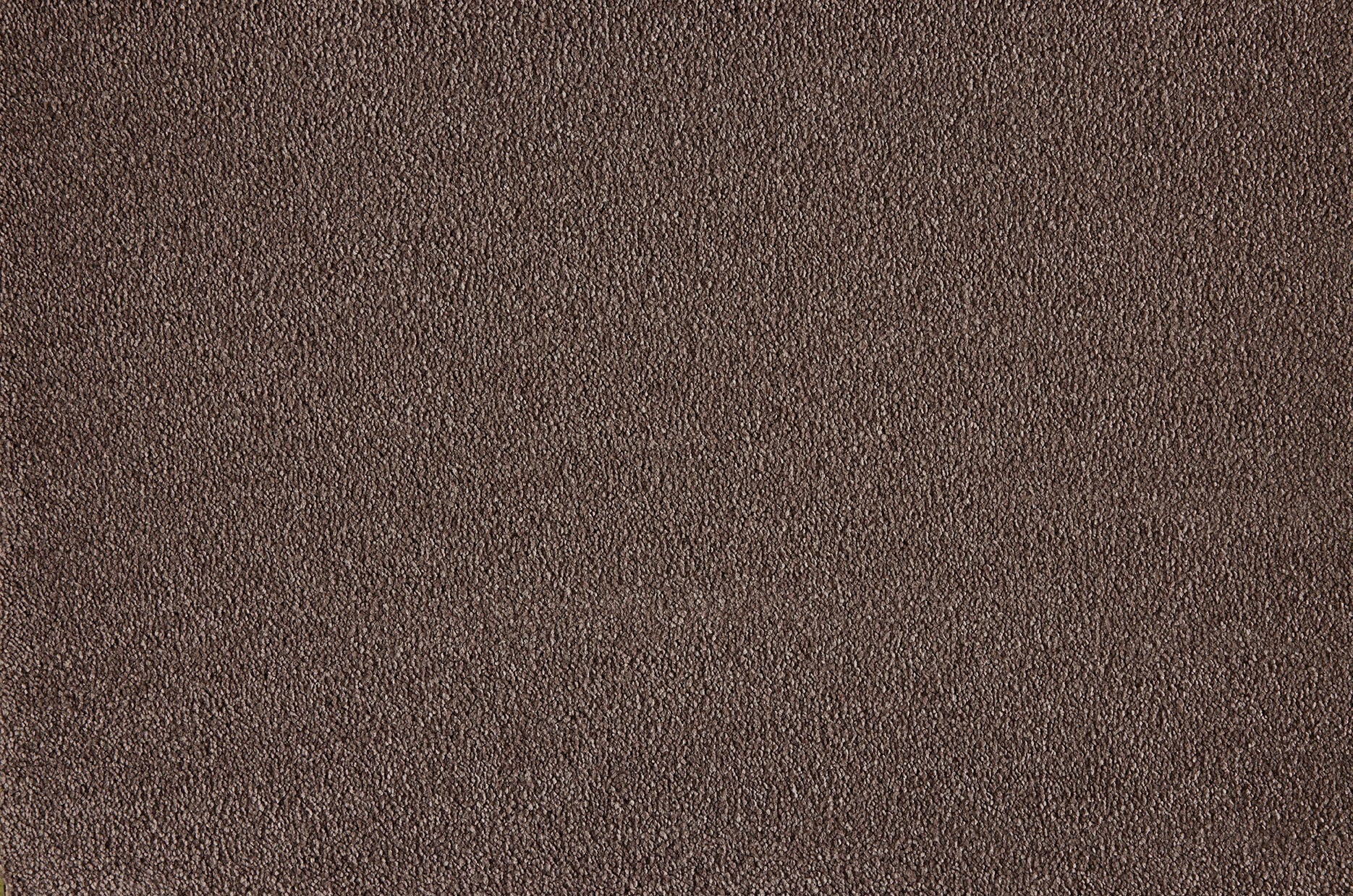 Boulevard carpet