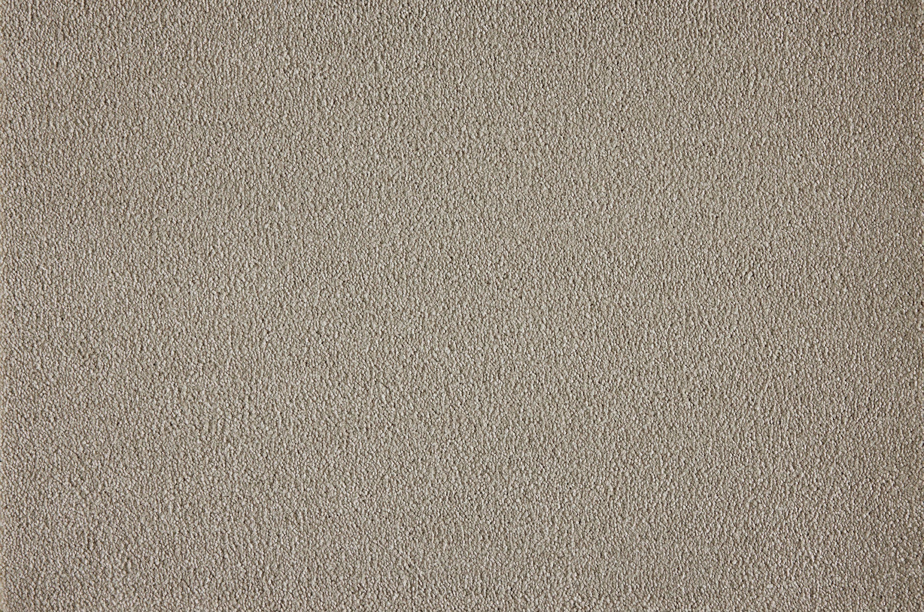 Boulevard carpet