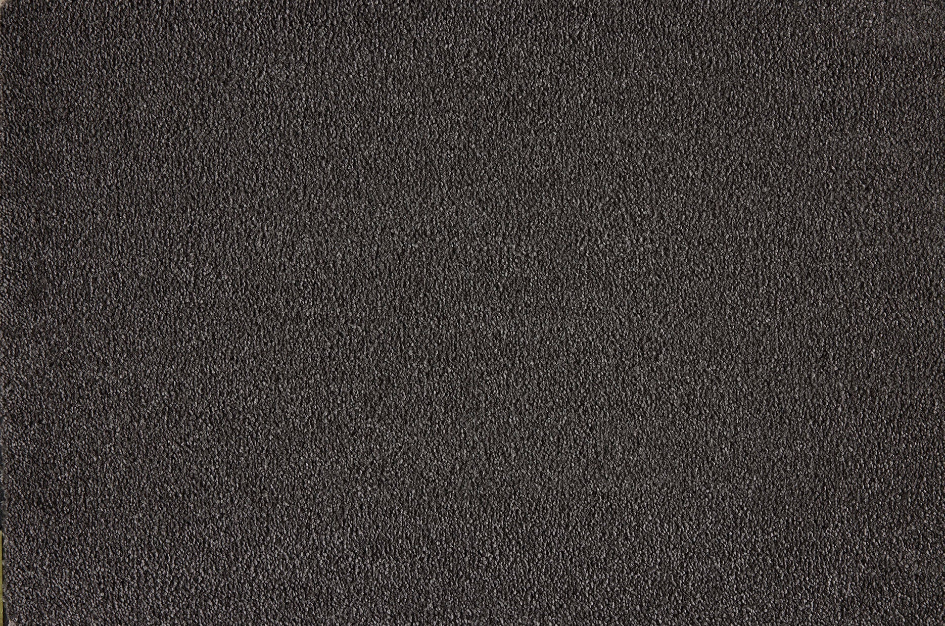 Boulevard carpet