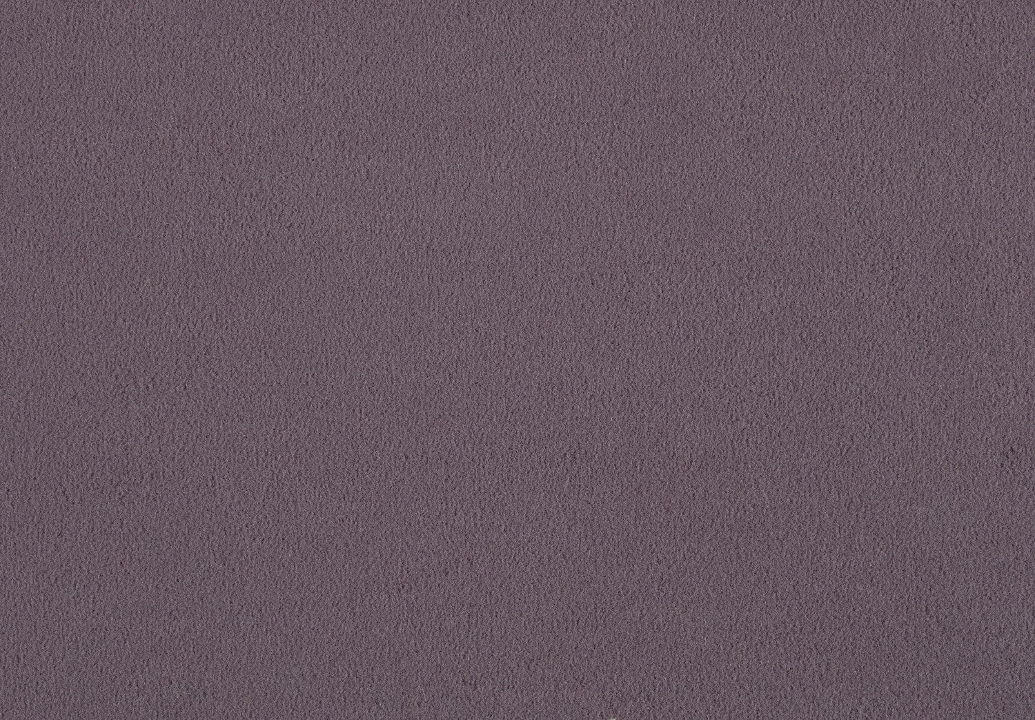 Carpet Brezina