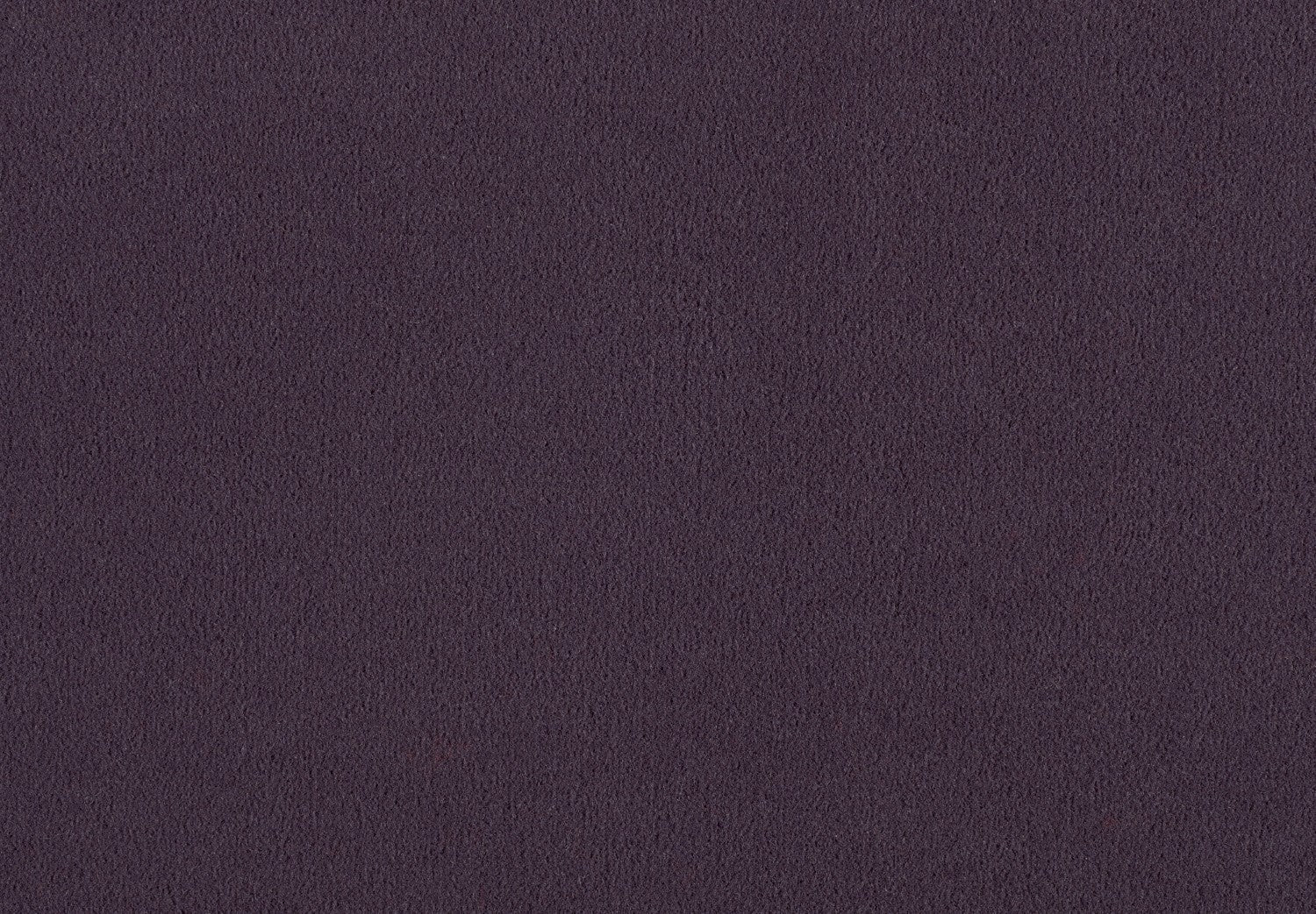 Carpet Brezina