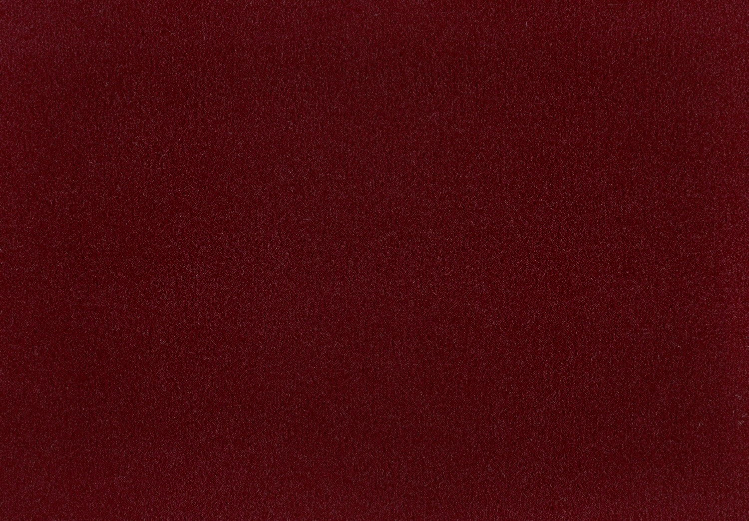 Carpet Brezina