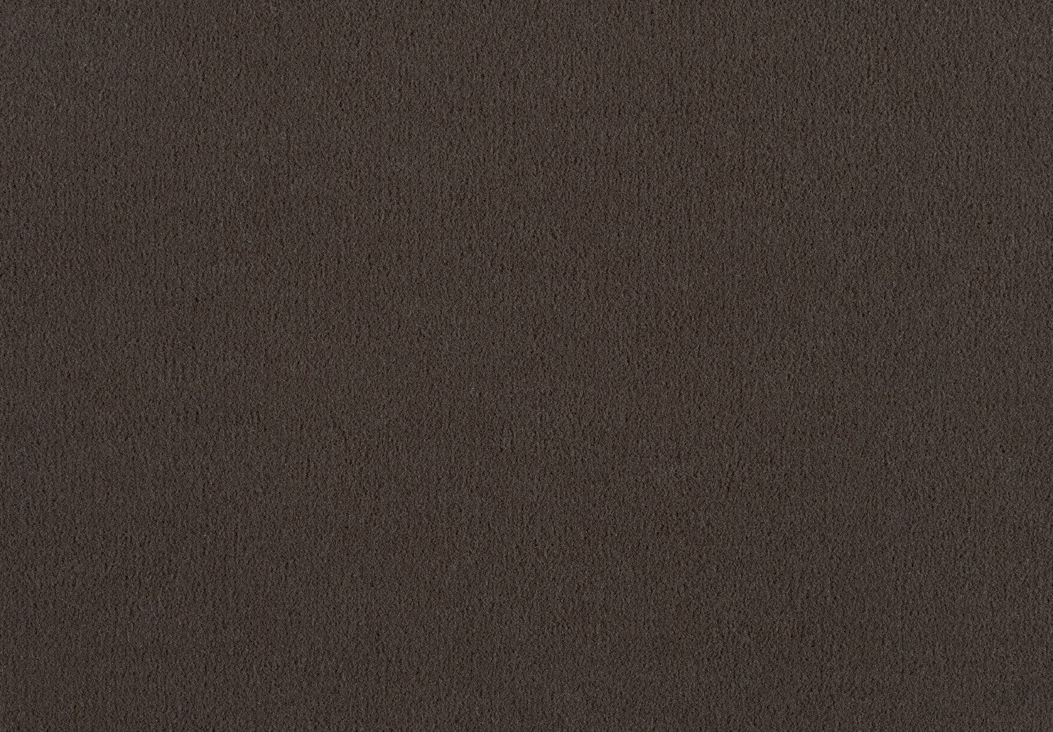 Carpet Brezina