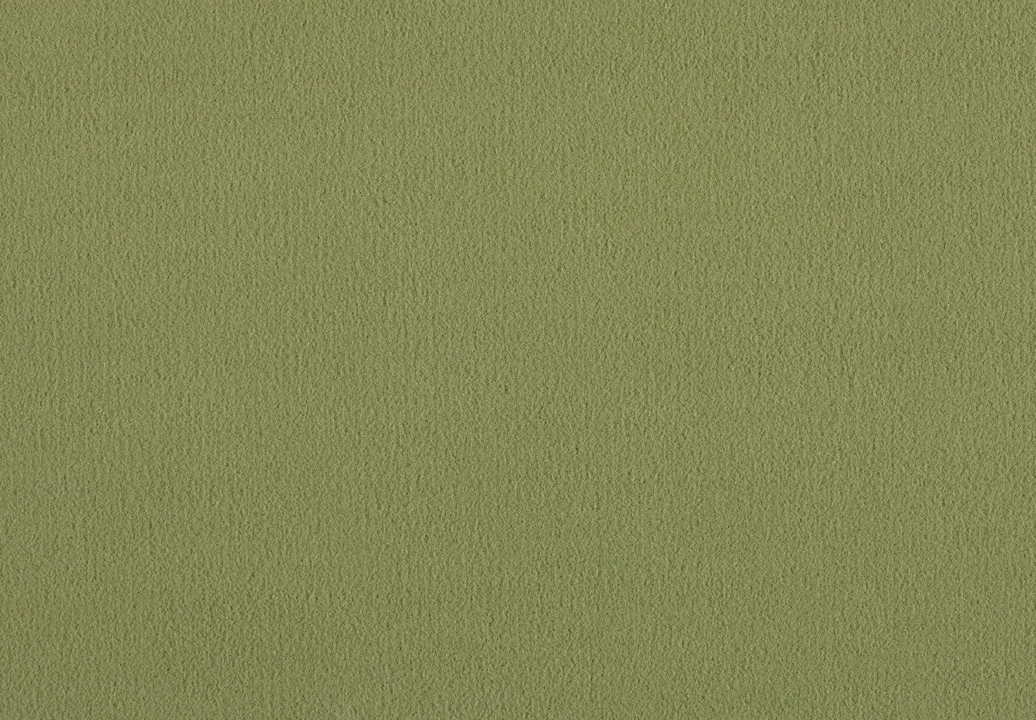 Carpet Brezina