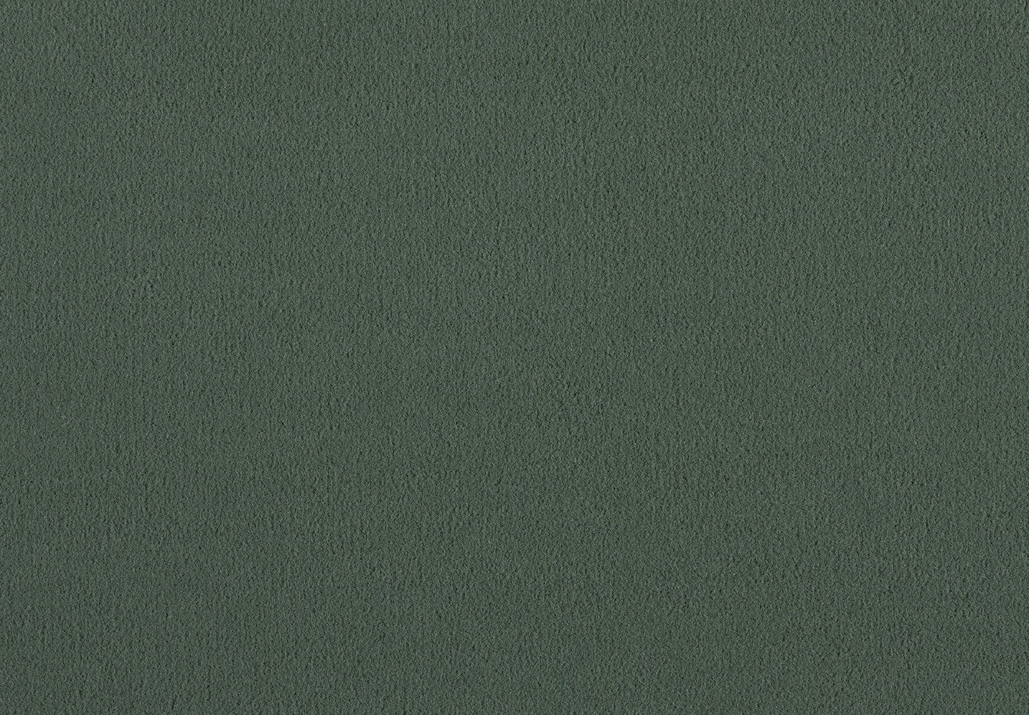 Carpet Brezina