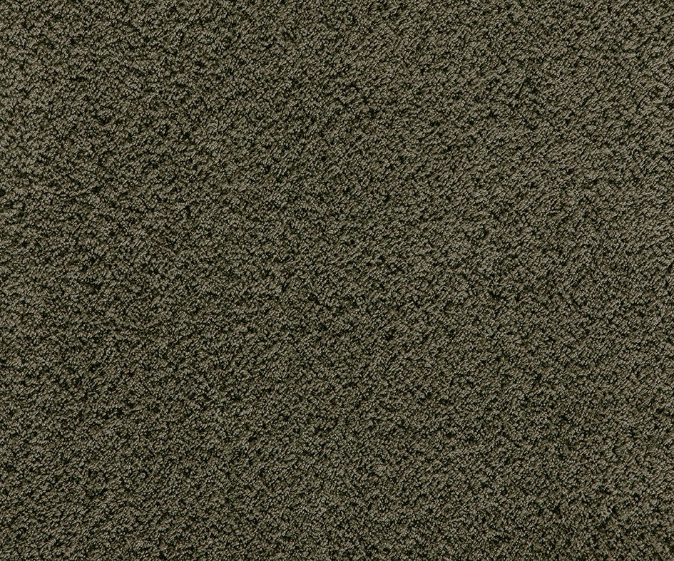 Premium Cashmere Velvet Carpet