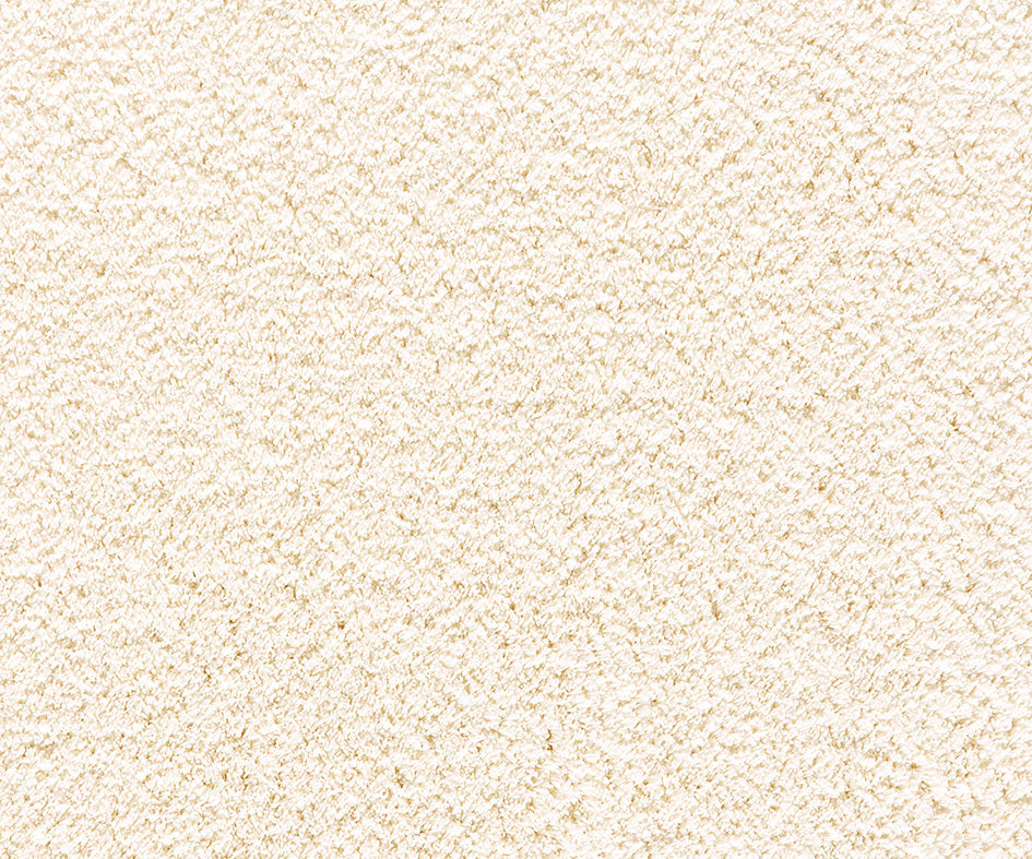 Premium Cashmere Velvet Carpet