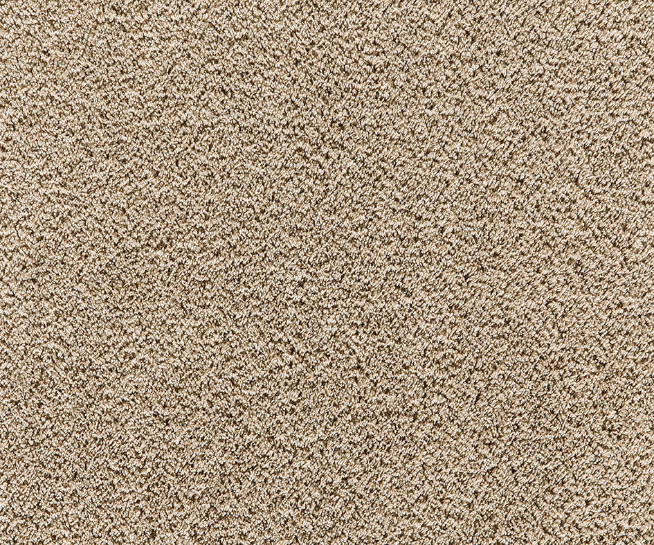 Premium Cashmere Velvet Carpet