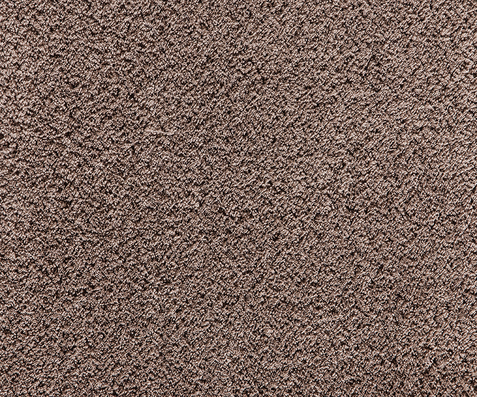 Premium Cashmere Velvet Carpet