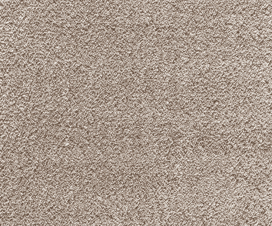 Premium Cashmere Velvet Carpet