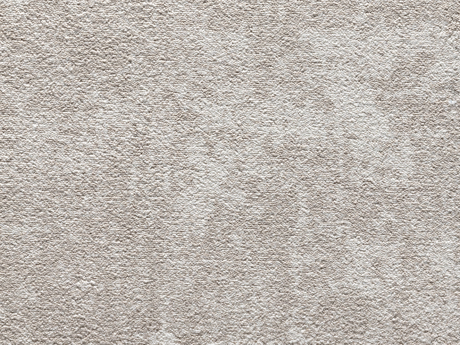 Premium Castor Carpet