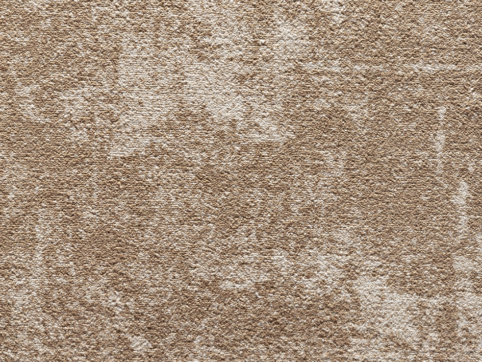 Premium Castor Carpet