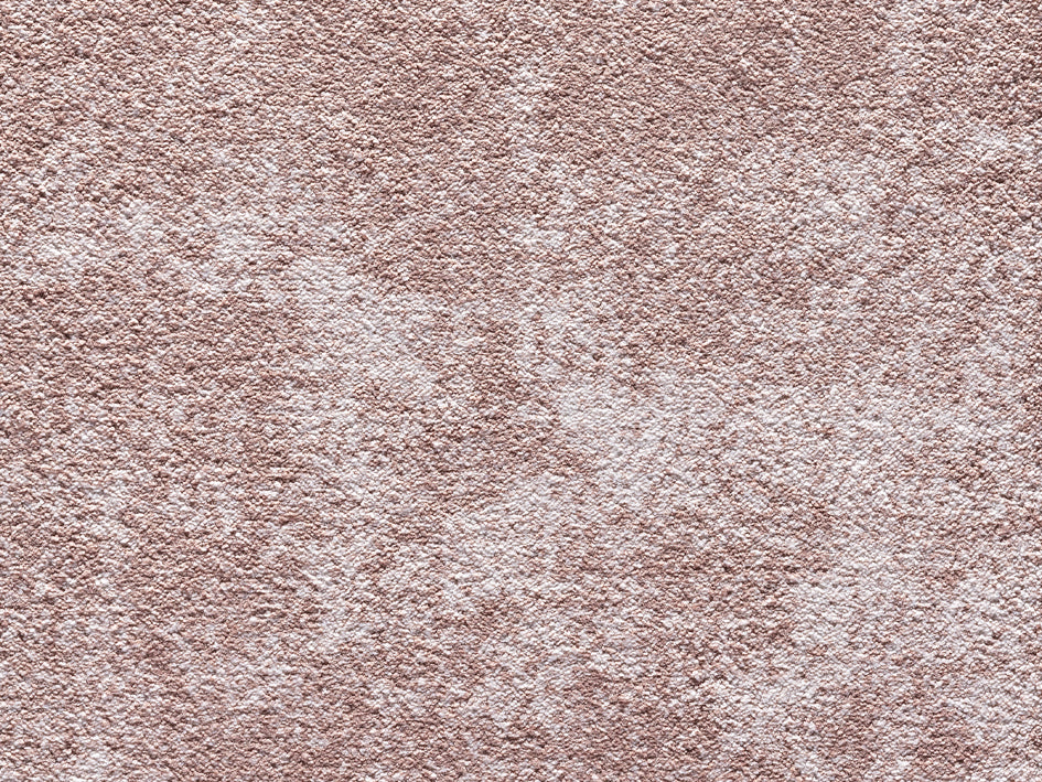 Premium Castor Carpet