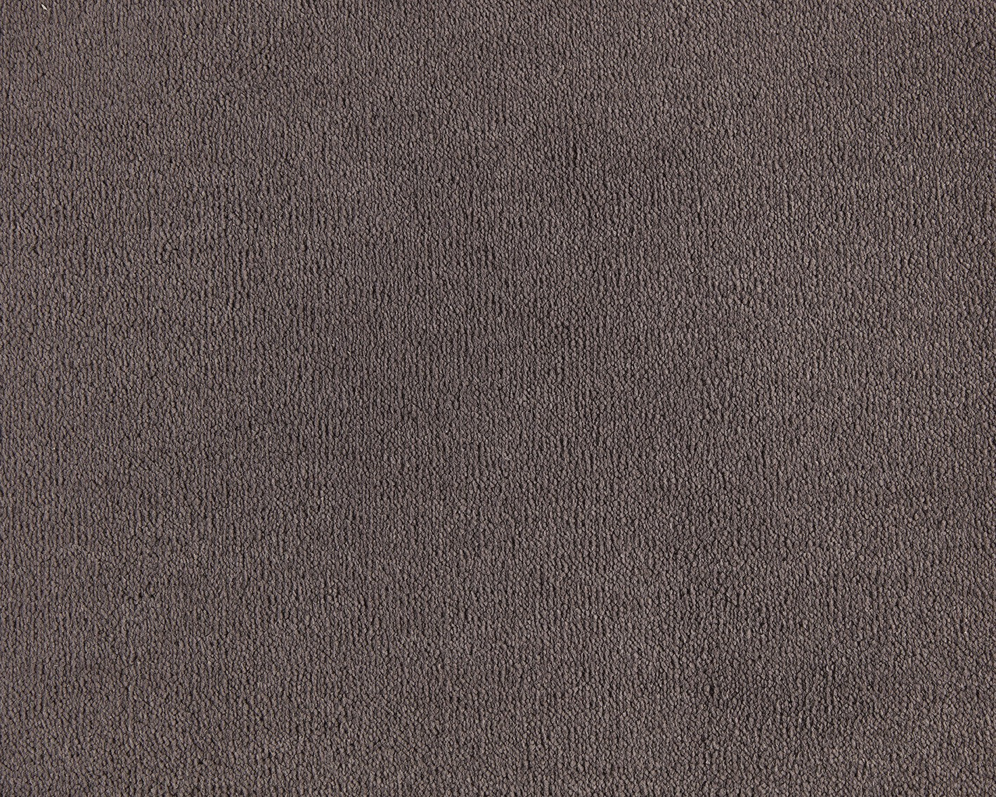 Celeste Carpet