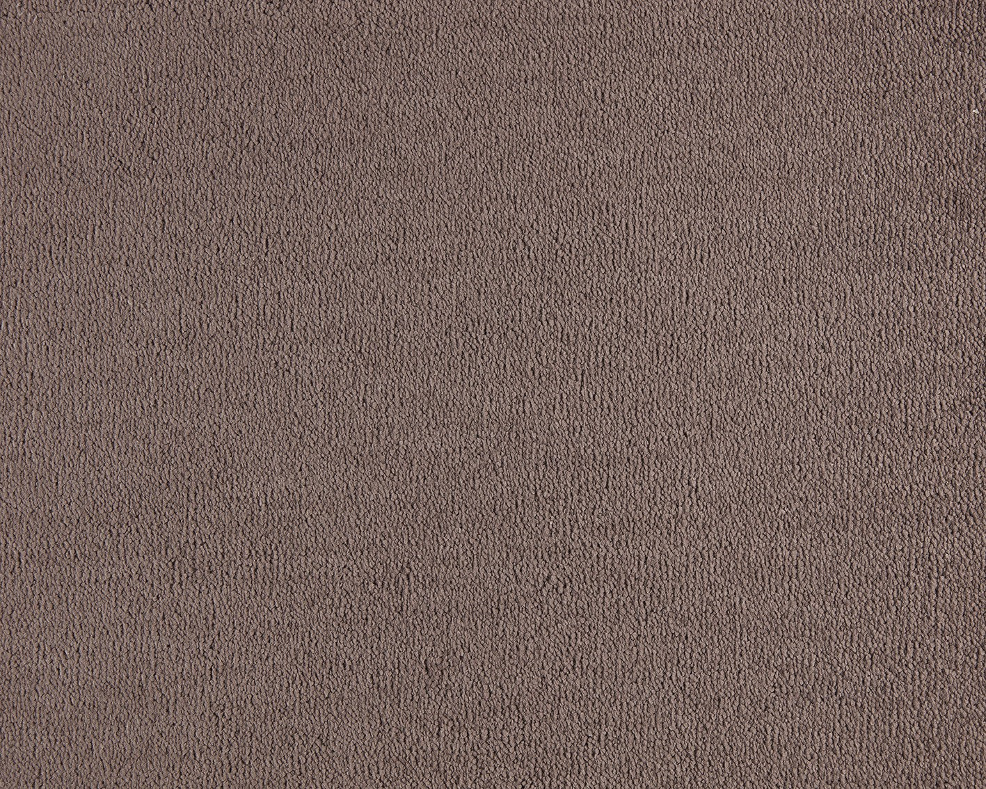 Celeste Carpet