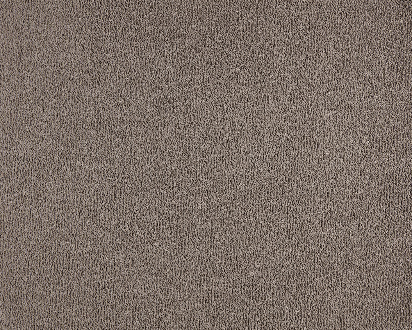 Celeste Carpet