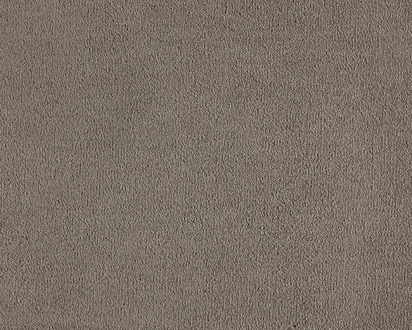 Celeste Carpet