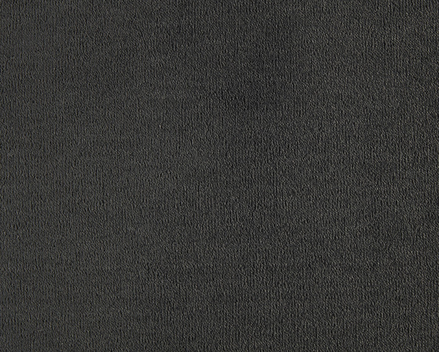 Celeste Carpet