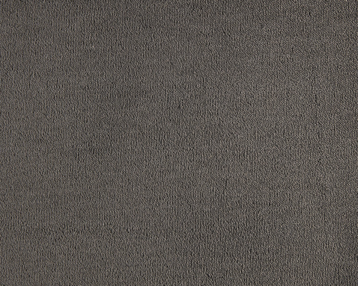 Celeste Carpet