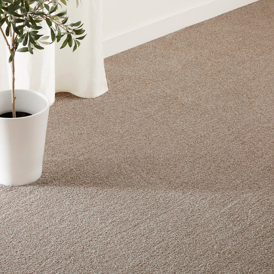 Euphoria carpet