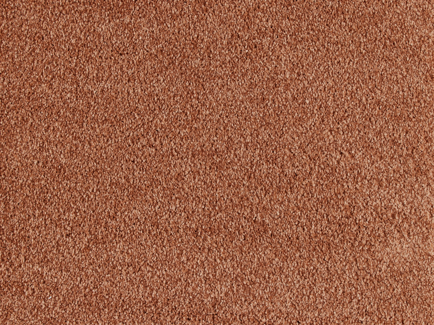 Euphoria carpet