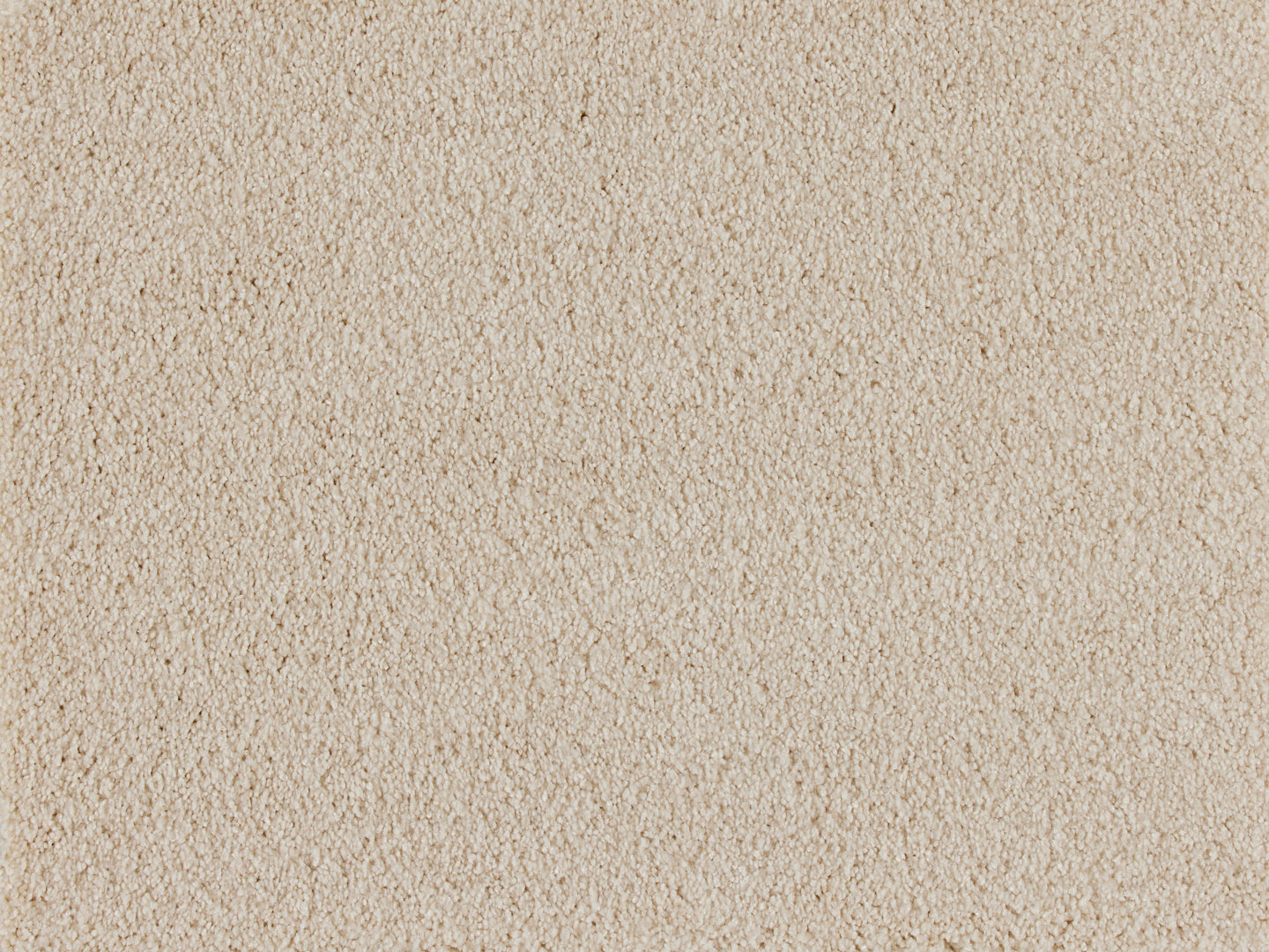 Euphoria carpet