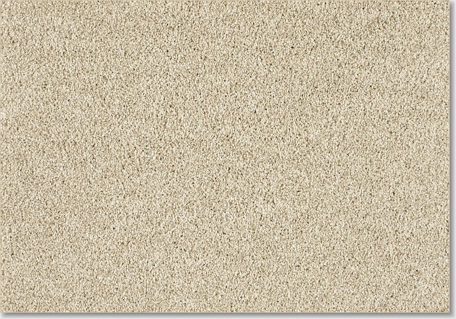 Euphoria carpet