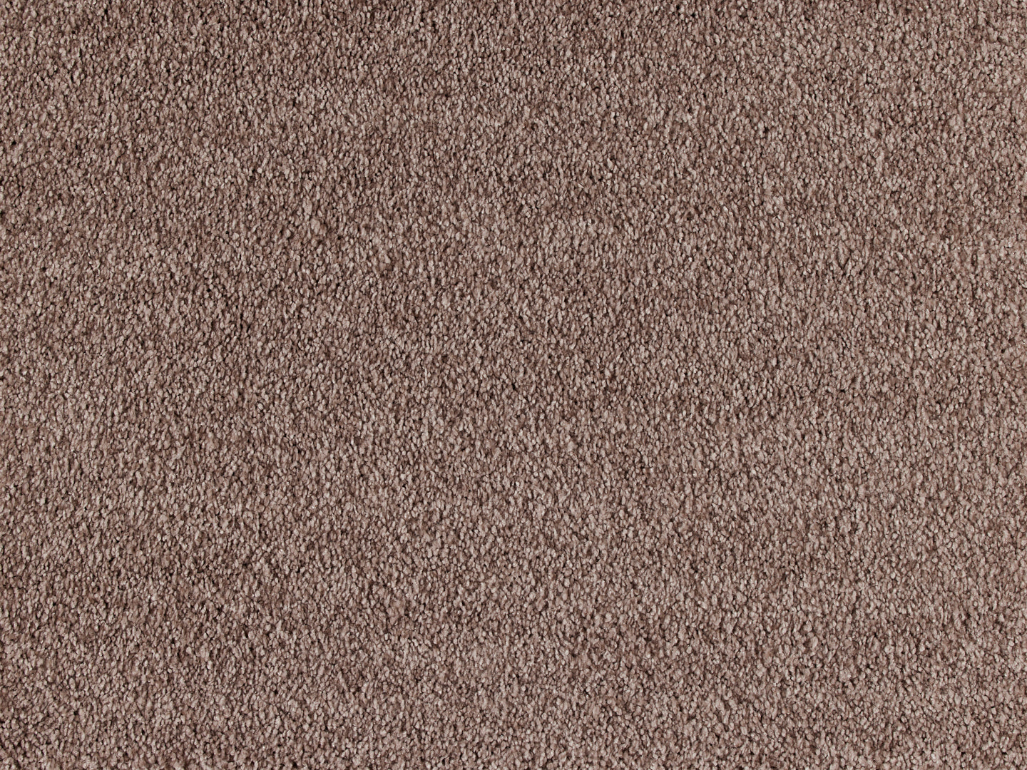 Euphoria carpet