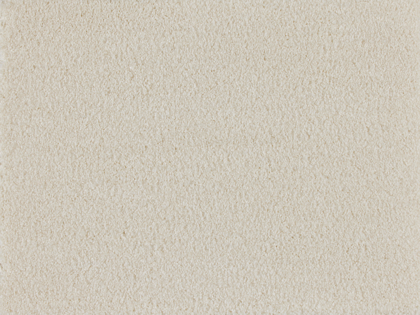 Euphoria carpet