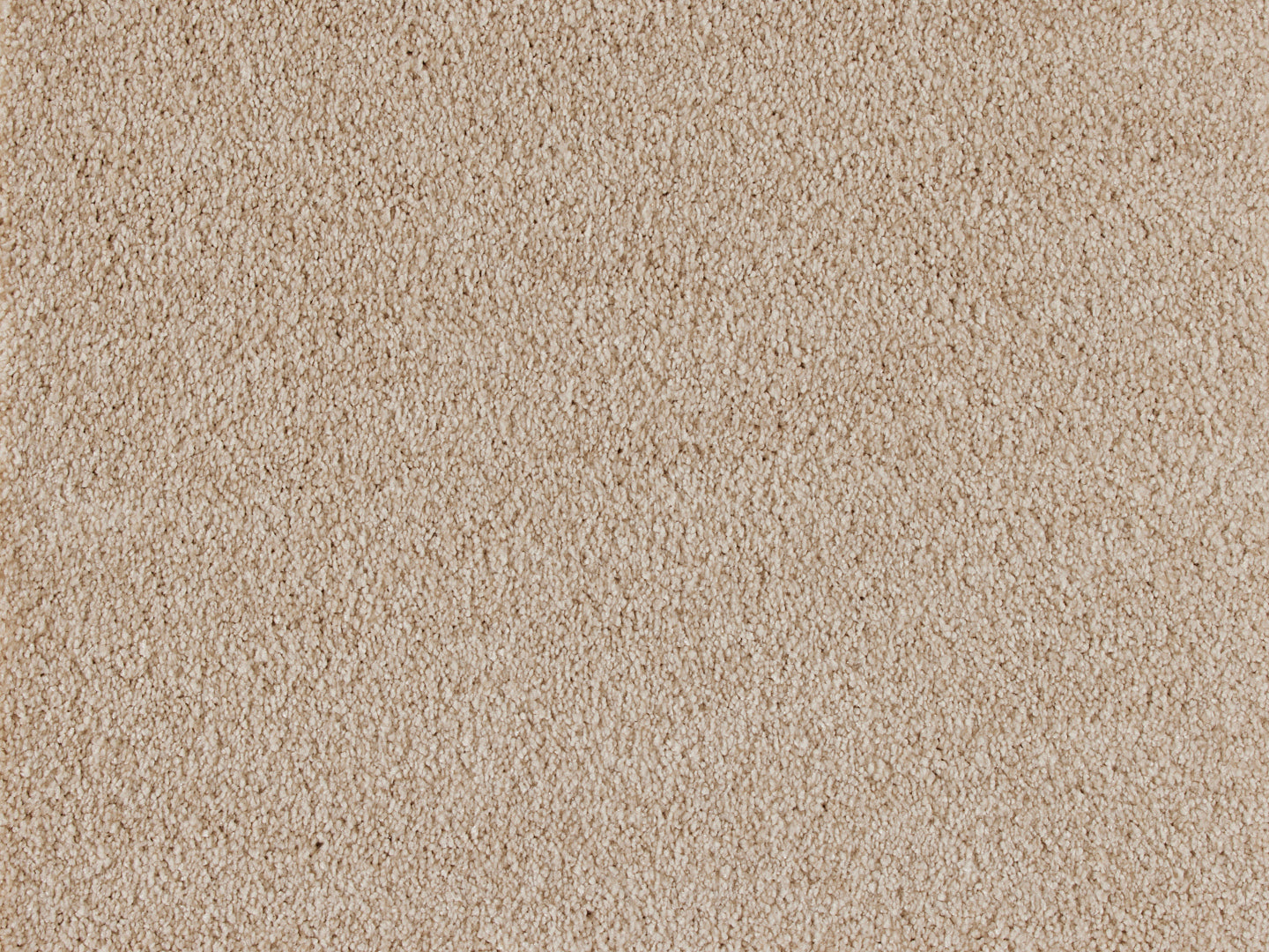 Euphoria carpet