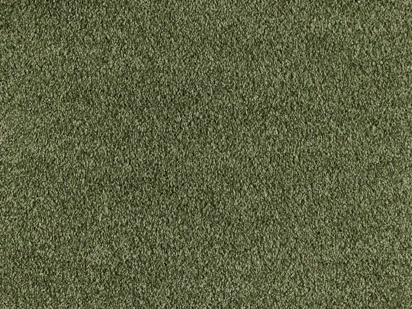 Euphoria carpet