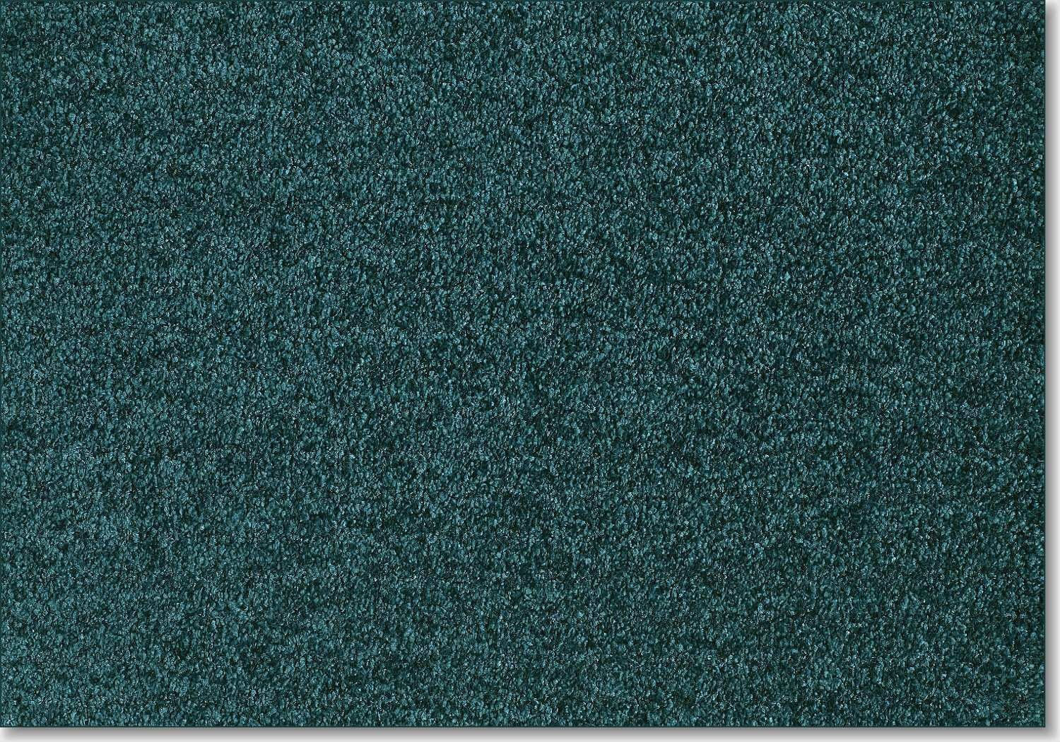 Euphoria carpet