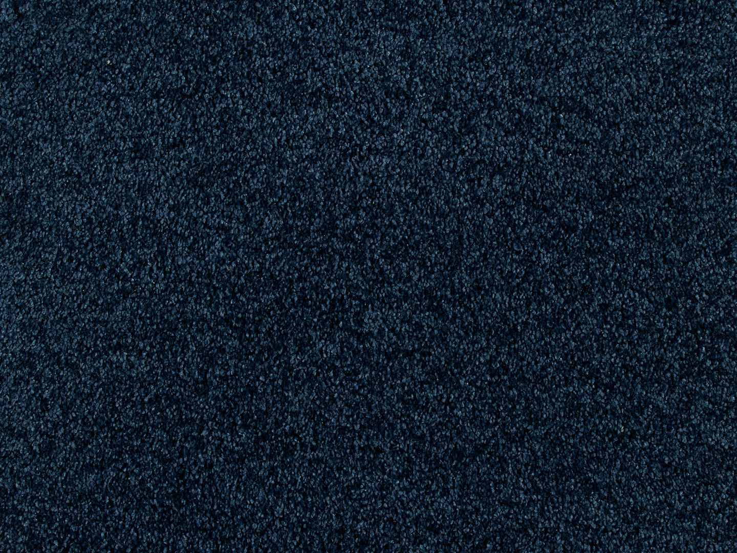 Euphoria carpet
