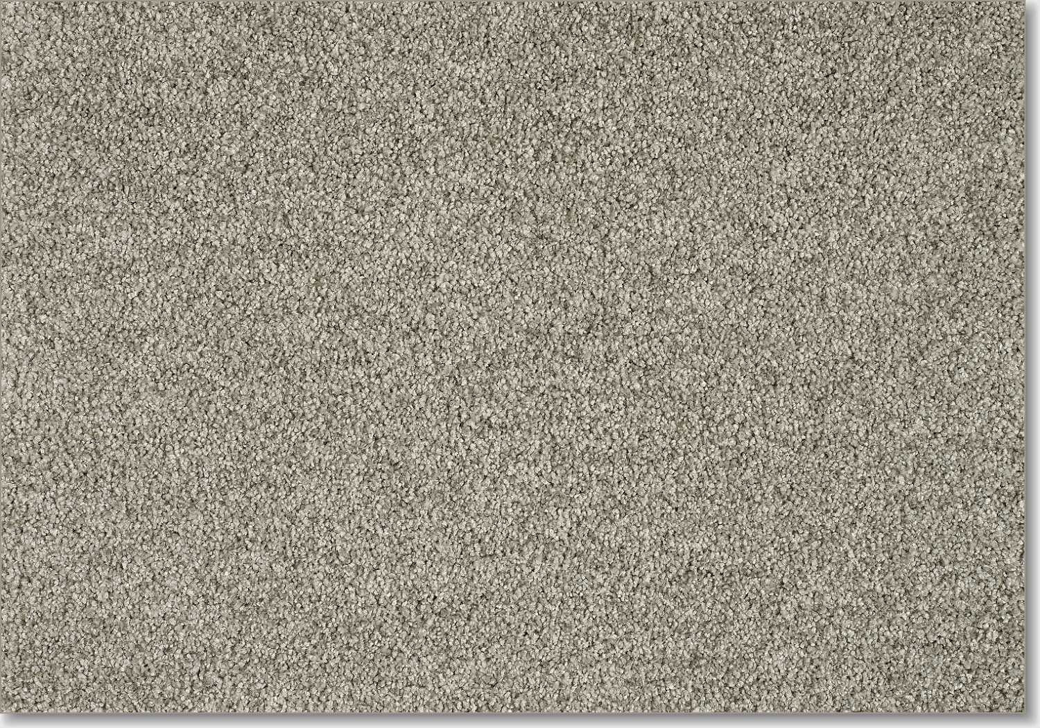 Euphoria carpet