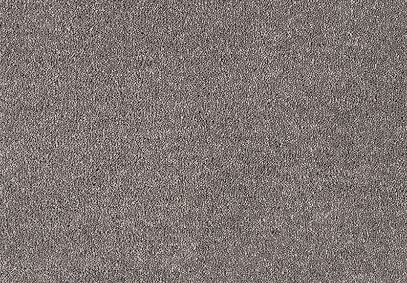 Fascinations Carpet