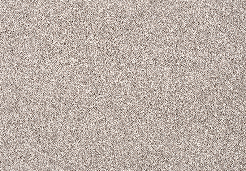 Fascinations Carpet
