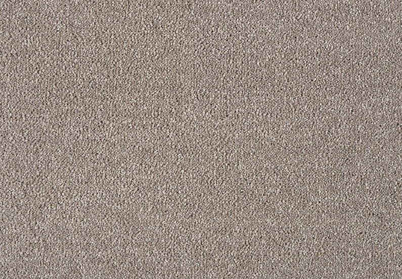 Fascinations Carpet